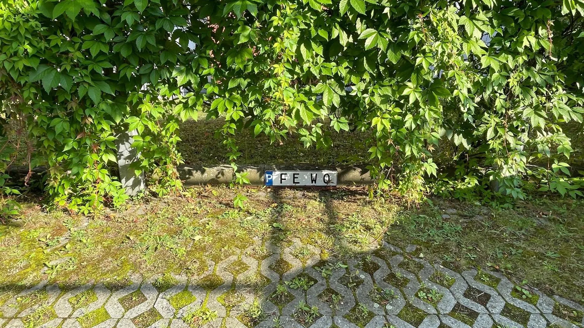 Apartmán Wunderschoen-Wohnen-Im-Apartment-Rooftop Drážďany